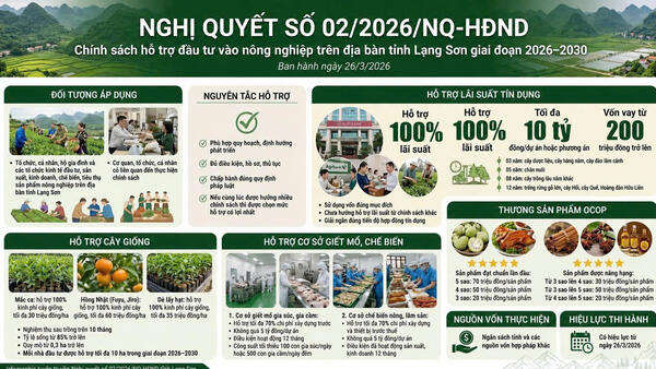 TỈNH LẠNG SƠN BAN HÀNH NGHỊ QUYẾT VỀ CHÍNH SÁCH HỖ TRỢ ĐẦU TƯ VÀO NÔNG NGHIỆP GIAI ĐOẠN 2026 – 2030